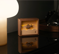 Tiny Fish light